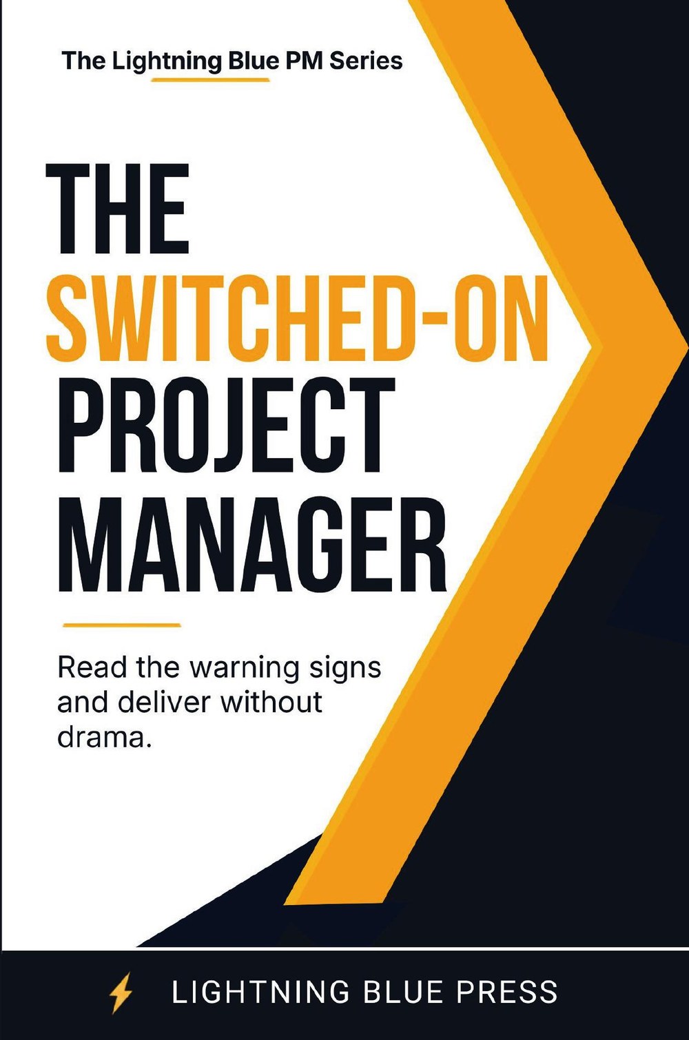 The Switched-On Project Manager book cover